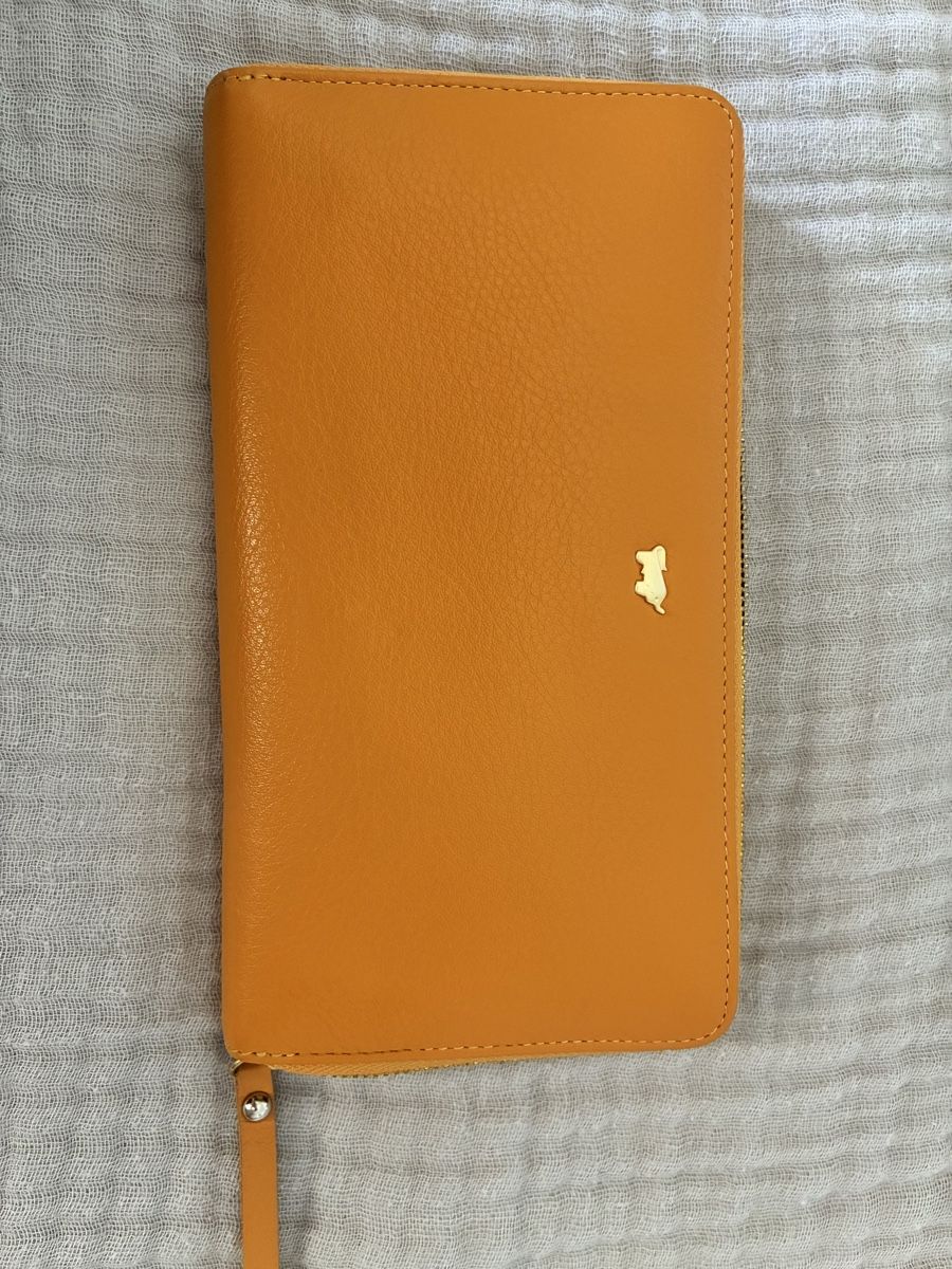 Braun Büffel Portamonete: Braun Büffel wallet with golden features – Usato da Mont-sur-Rolle venduto da Rozsnora 7