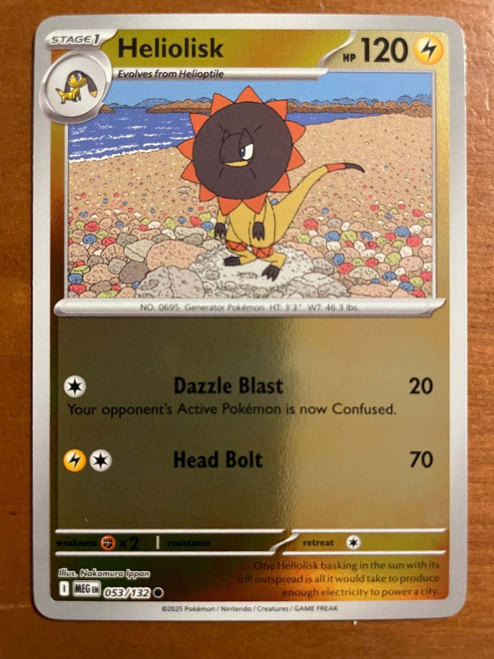Pokémon Carte collezionabili: Pokemon Heliolisk Reverse (Versand gratis) – Nuovo (secondo la descrizione) da Chur venduto da Angerson