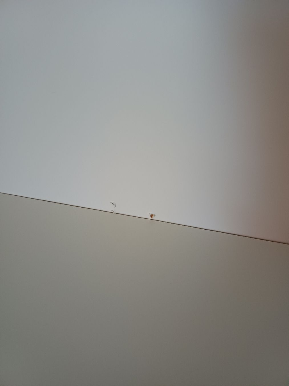 Étagères: Billy Bücherregal Ikea – D'occasion à Schwerzenbach par mss_66gb 1