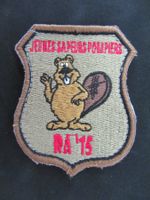 Badge sapeur pompier