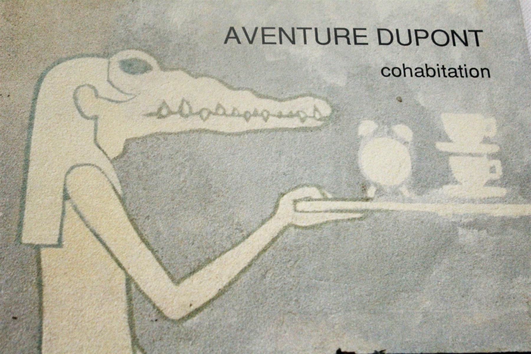 Fumetti: AVENTURE DU PONT: Cohabitation – Usato da Bern venduto da vinyl-heaven