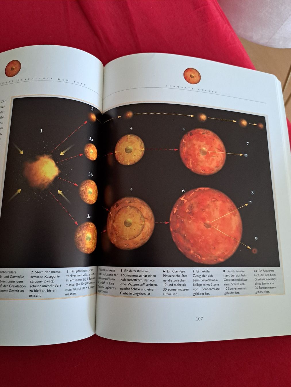 Libri: Stephen Hawkings illustrierte kurze Geschichte der Zeit, ... – Usato da Schliern b. Köniz venduto da Suena1 1
