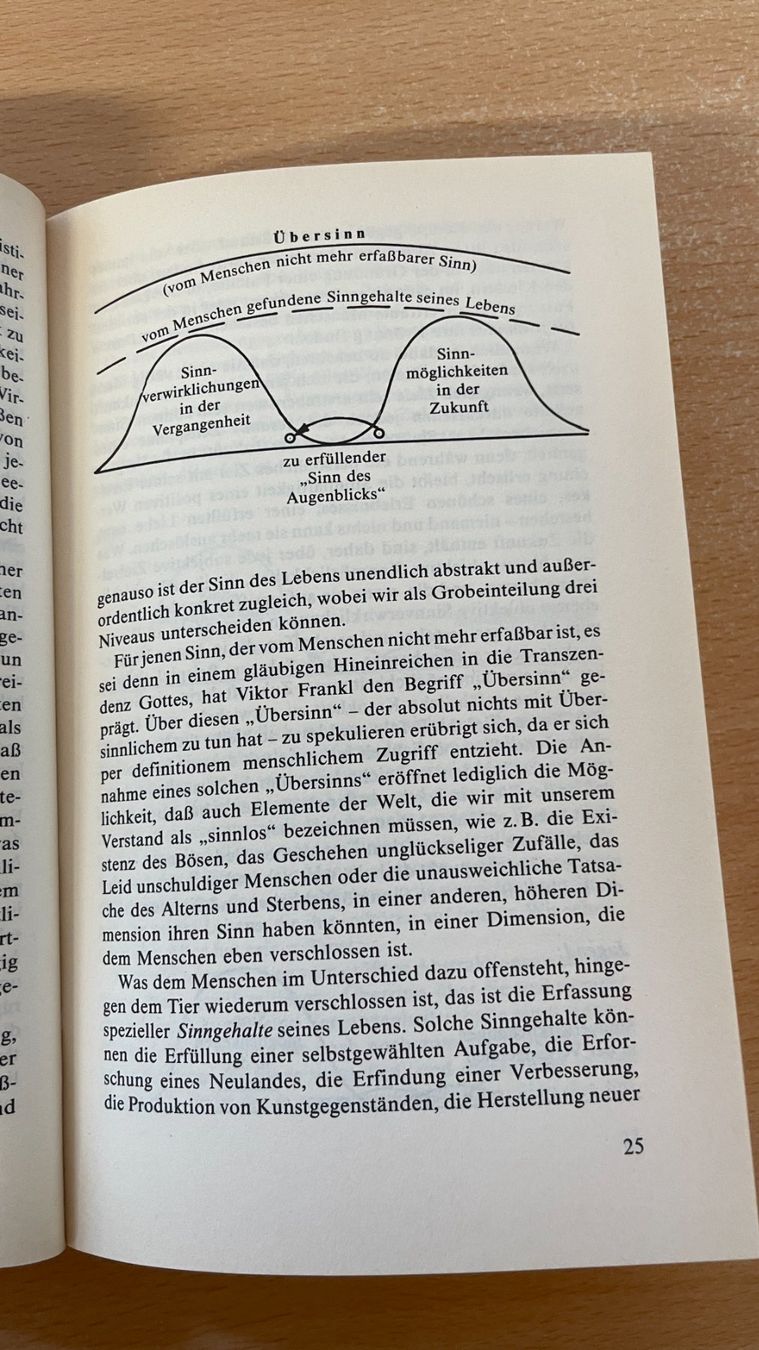 Libri: Psychologische Seelsorge – Usato da Glattfelden venduto da flomiking 3