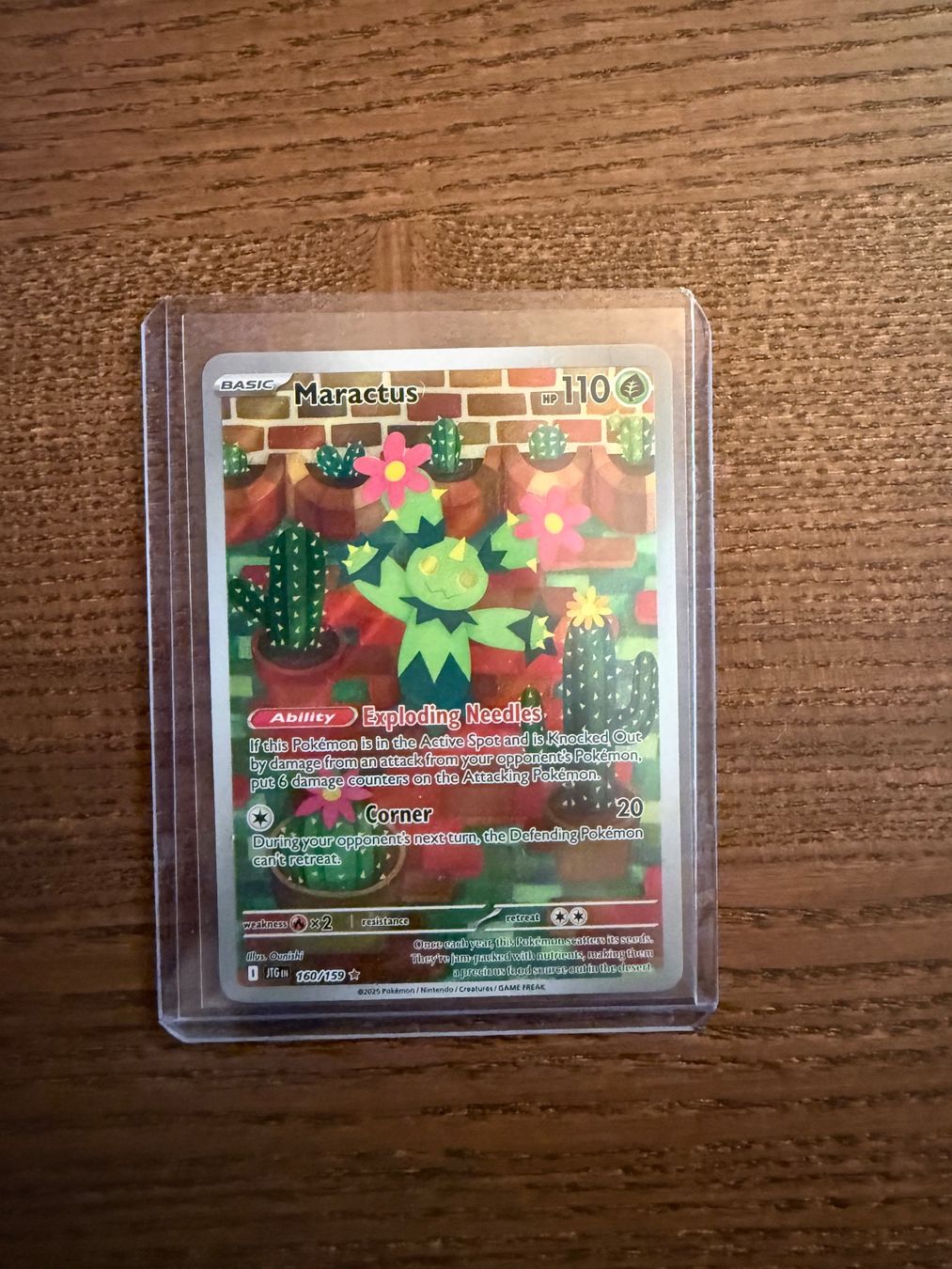 Pokémon Carte collezionabili: Maractus JTG 160/159 EN – Nuovo (secondo la descrizione) da Schönenwerd venduto da 29061996