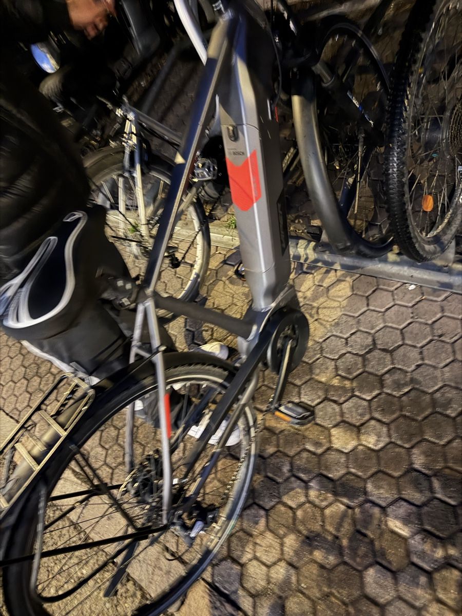 Bosch Velos: E-Bike  – Gebraucht aus Dielsdorf von Jan_zuerich 5