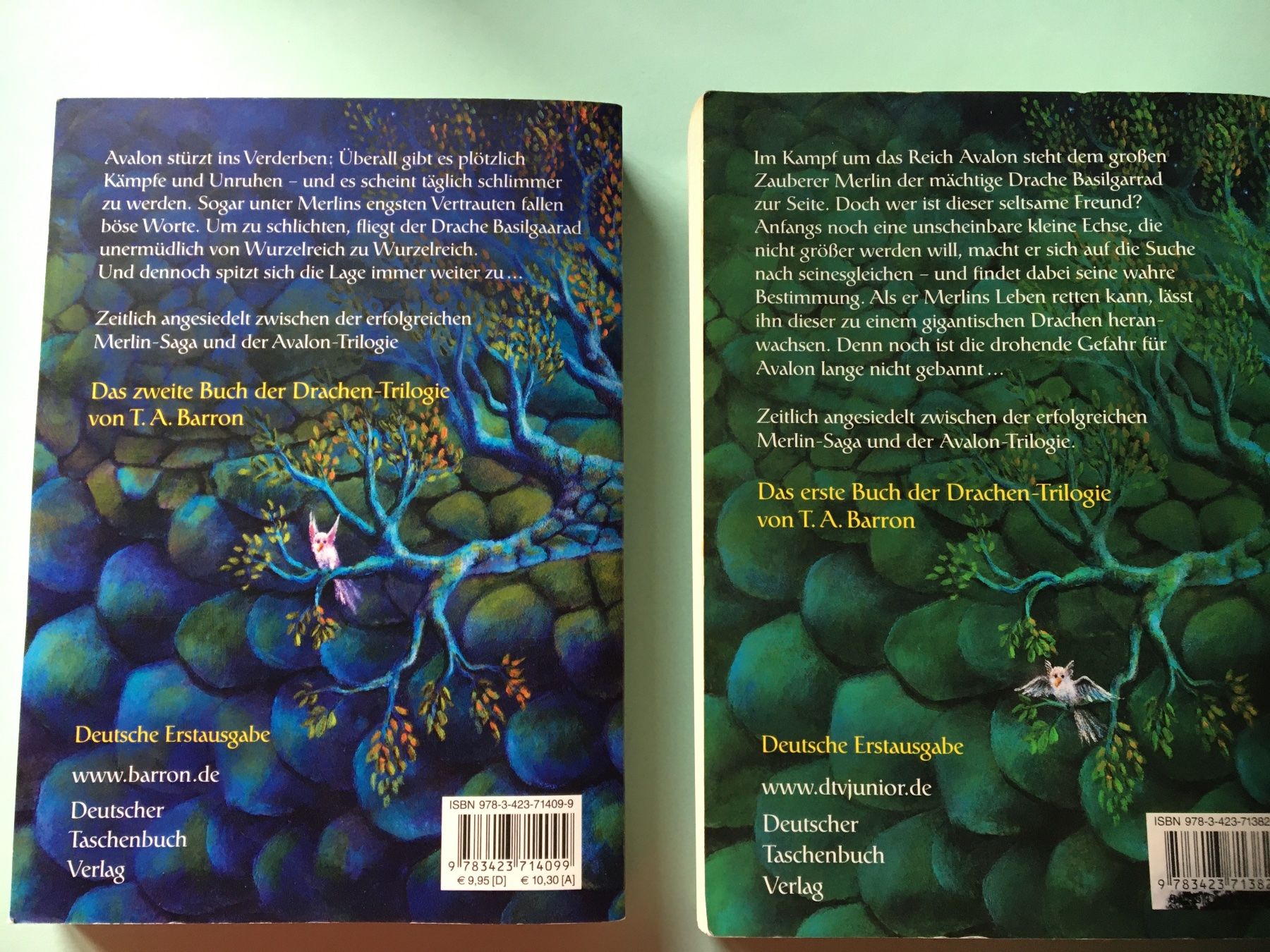 Libri: Merlins Drache x2 – Usato da Arth venduto da Vrecam51 1