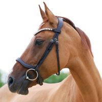 Heinick Anatomic Pferdezaum, Full, schwarz