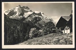 AK Oldenhorn, Berghaus mit Blumenwiese