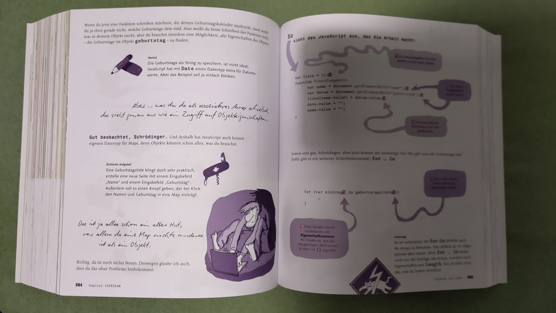 Bücher: Schrödinger lernt HTML5,CSS,JavaScript - Top Zustand! – Gebraucht aus Walenstadt von risoluto 4
