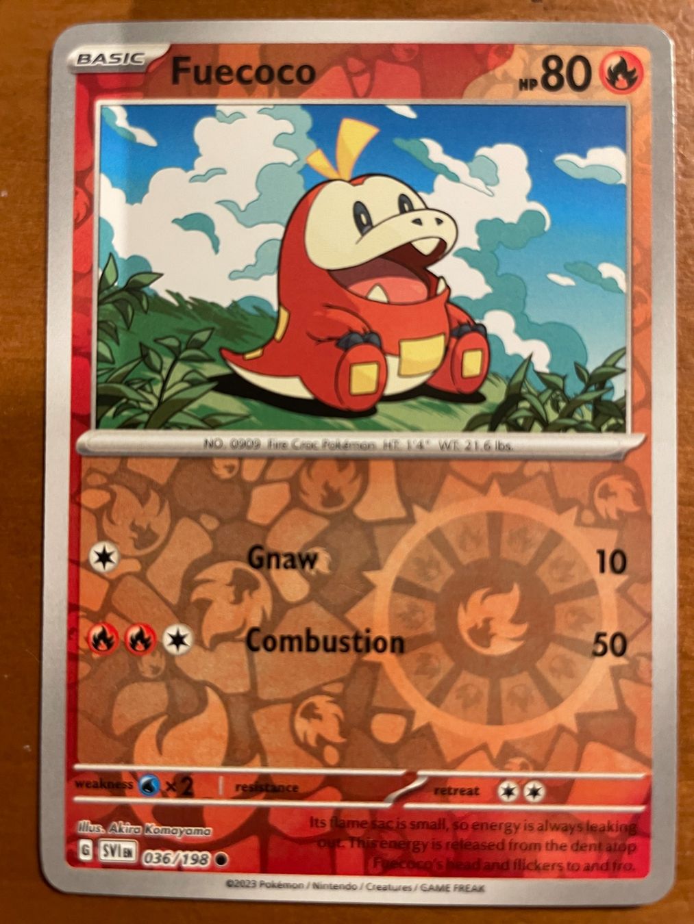 Pokémon Carte collezionabili: Pokemon Fuecoco Reverse (Versand gratis) – Nuovo (secondo la descrizione) da Chur venduto da Angerson