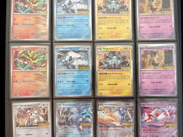 Pokémon Surging Sparks EN Collection Set P-Center Staff Stam