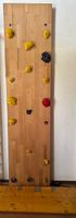 Kletterwand 260cmX63cm