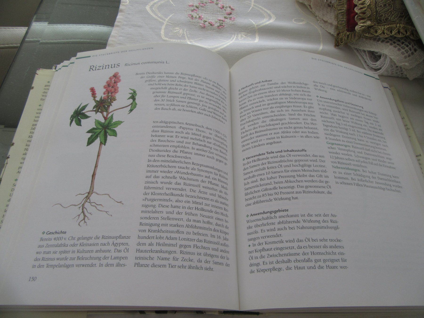 Livres: Handbuch der Kloster Heilkunde – Neuf (Voir description) à Mels par Sandylein 2