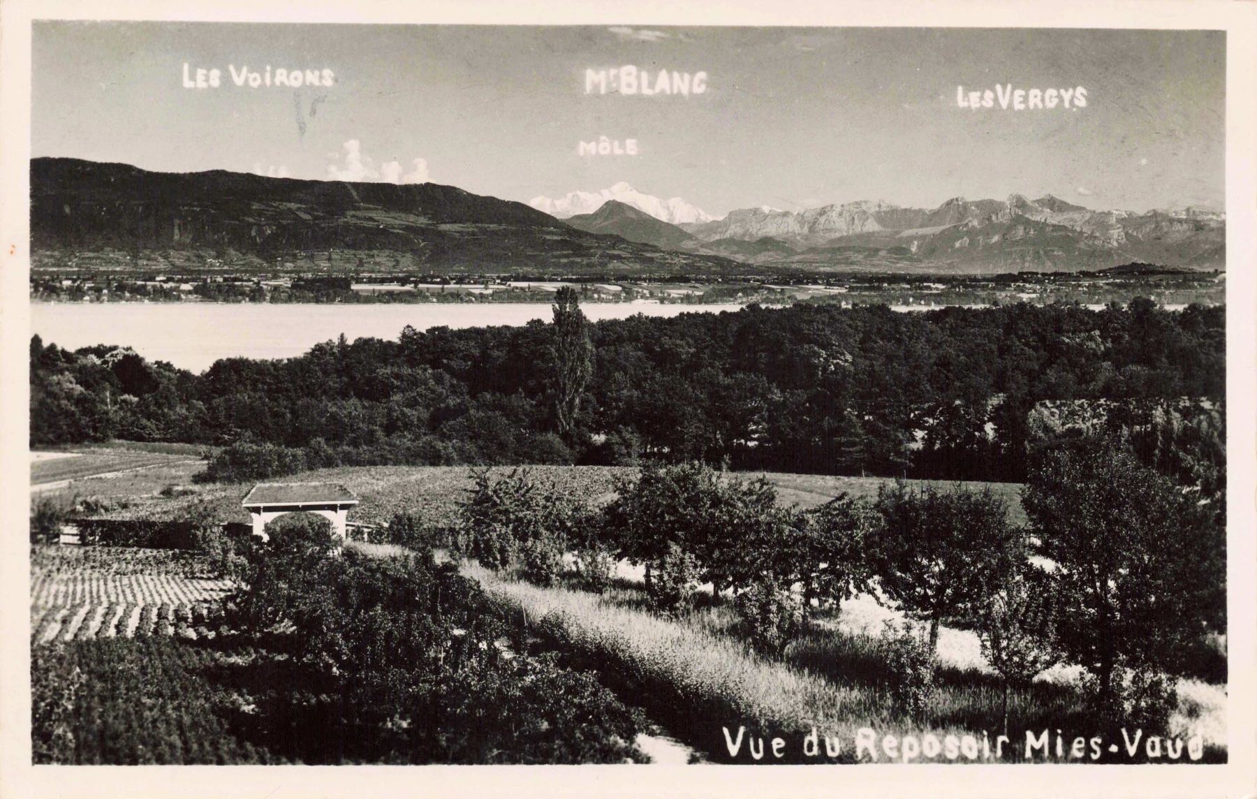 Cartoline postali: Vue du reposoir mies Vaud – Usato da Biasca venduto da Blenio71