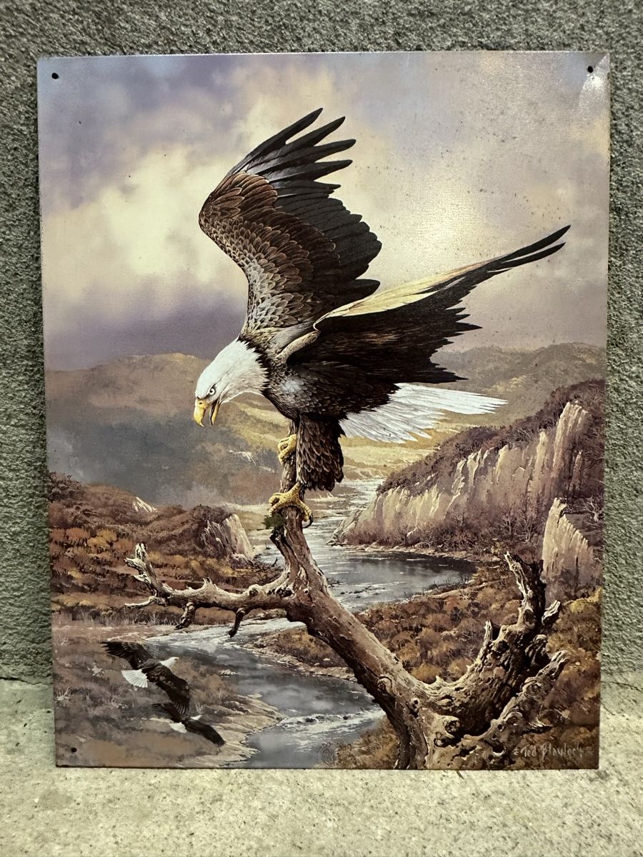 Insegne: Adler vogel – Usato da Reinach AG venduto da rares75