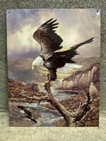 Adler vogel