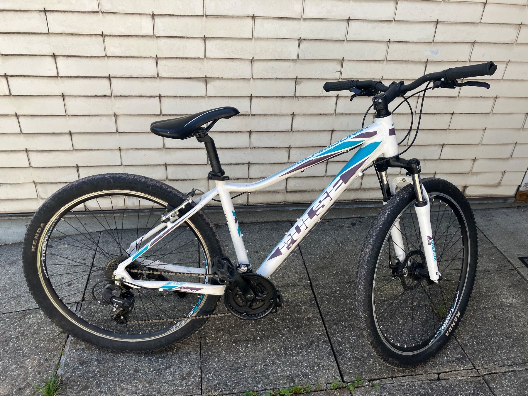 Biciclette: Damen Velo – Usato da Flums venduto da denwi 1