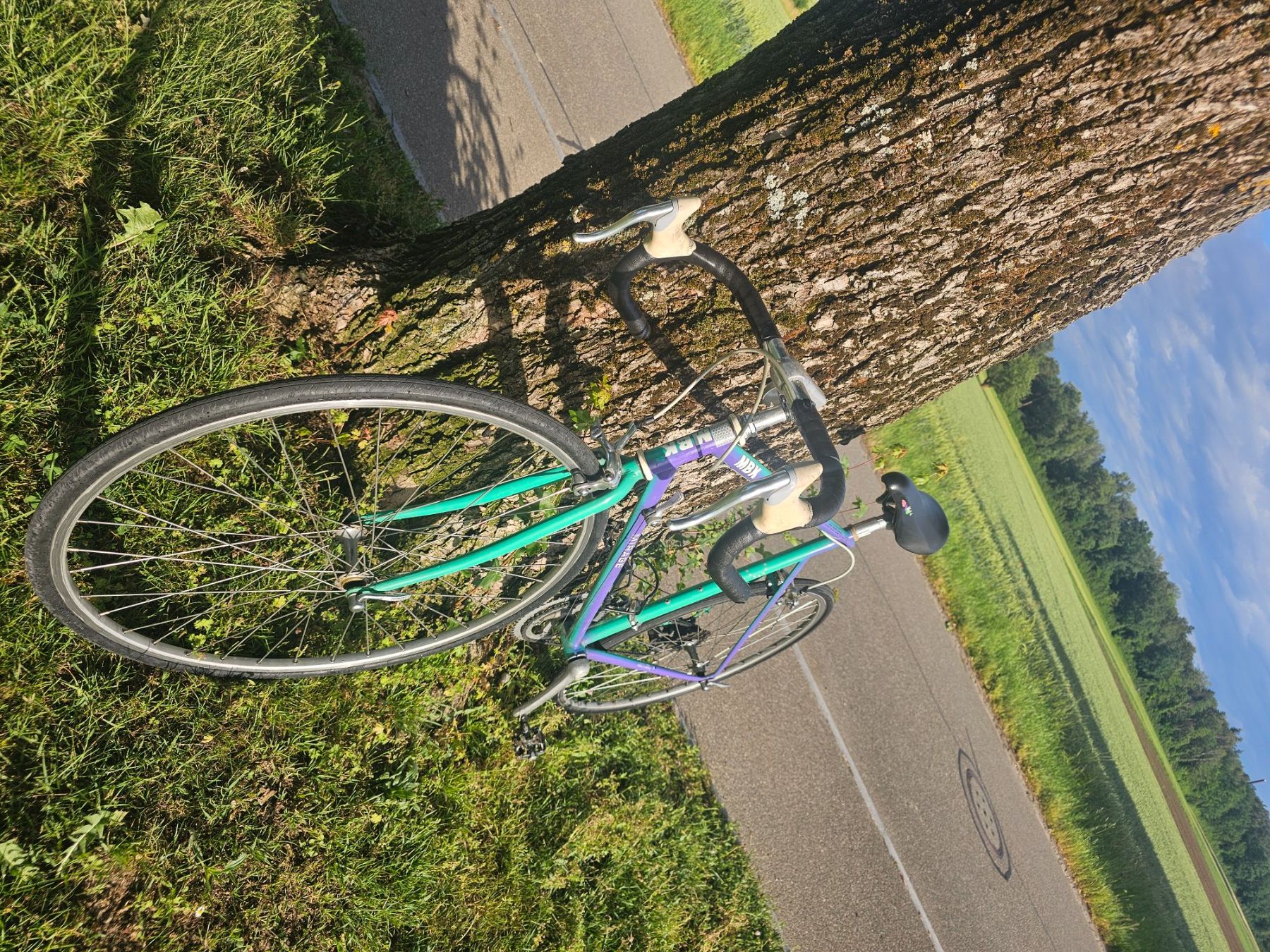 MBK Biciclette: Rennvelo MBK – Usato da kleindöttingen venduto da Jimi-Hendrix 4