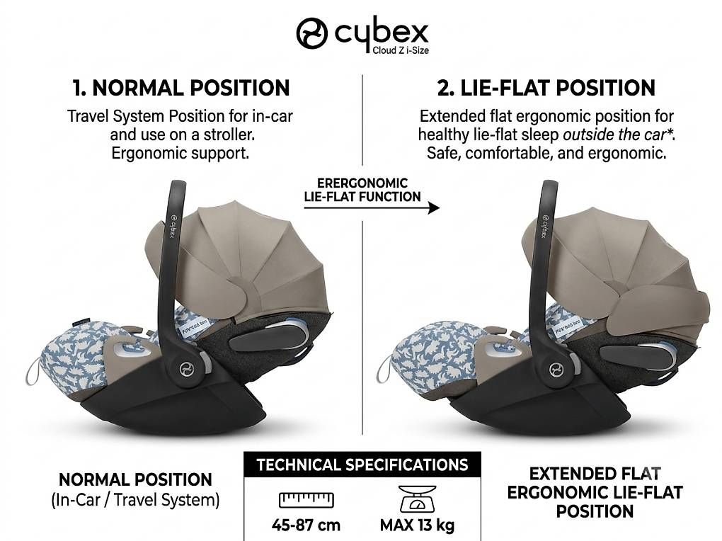 Auto-Kindersitze: Cybex Cloud Z i-Size Plus Babyschale mit Dino-Bezug – Gebraucht aus Grüningen von Reloop1 2
