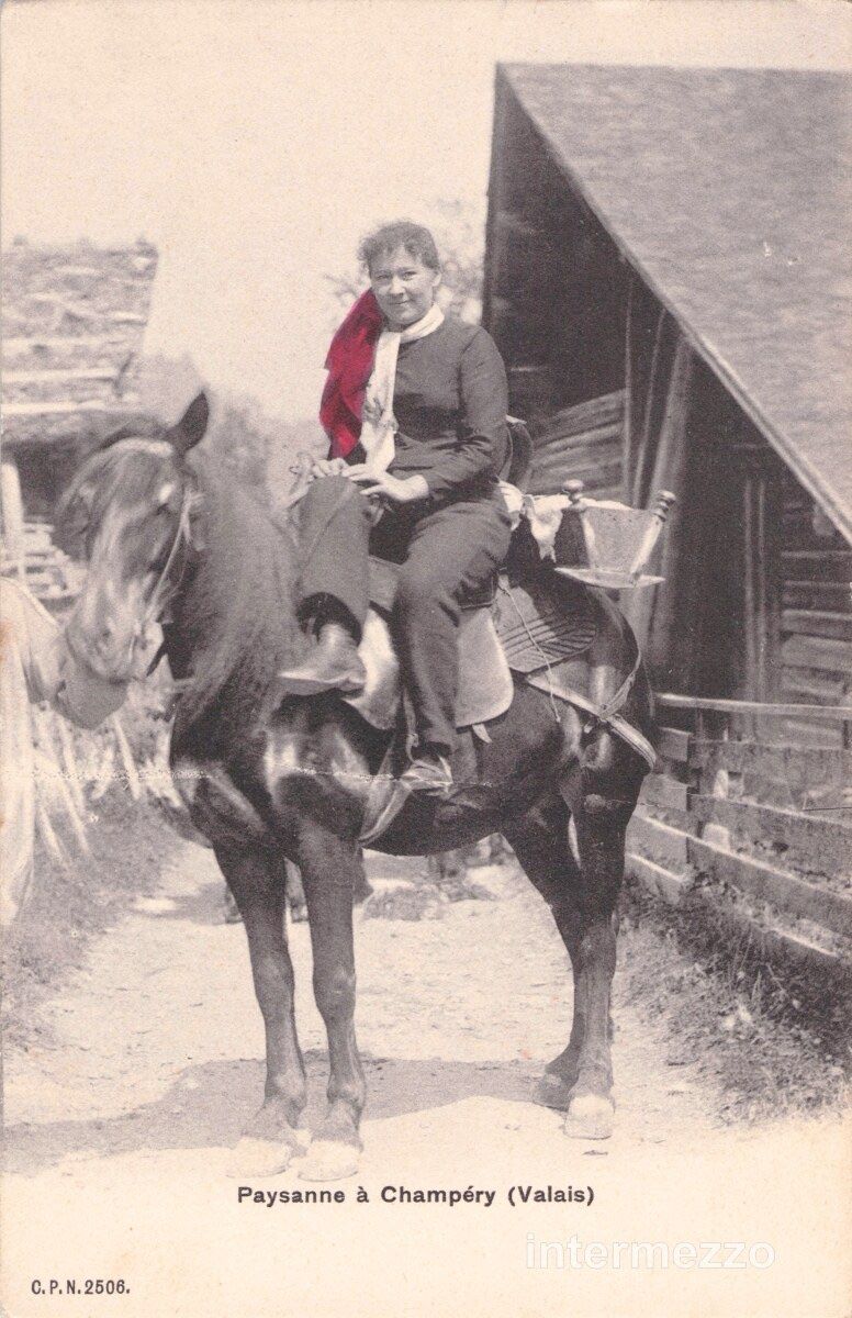 Cartes postales: Champéry VS / Pferd Paysanne à Champéry – D'occasion à Basel par intermezzo12