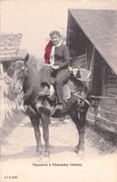 Champéry VS / Pferd Paysanne à Champéry