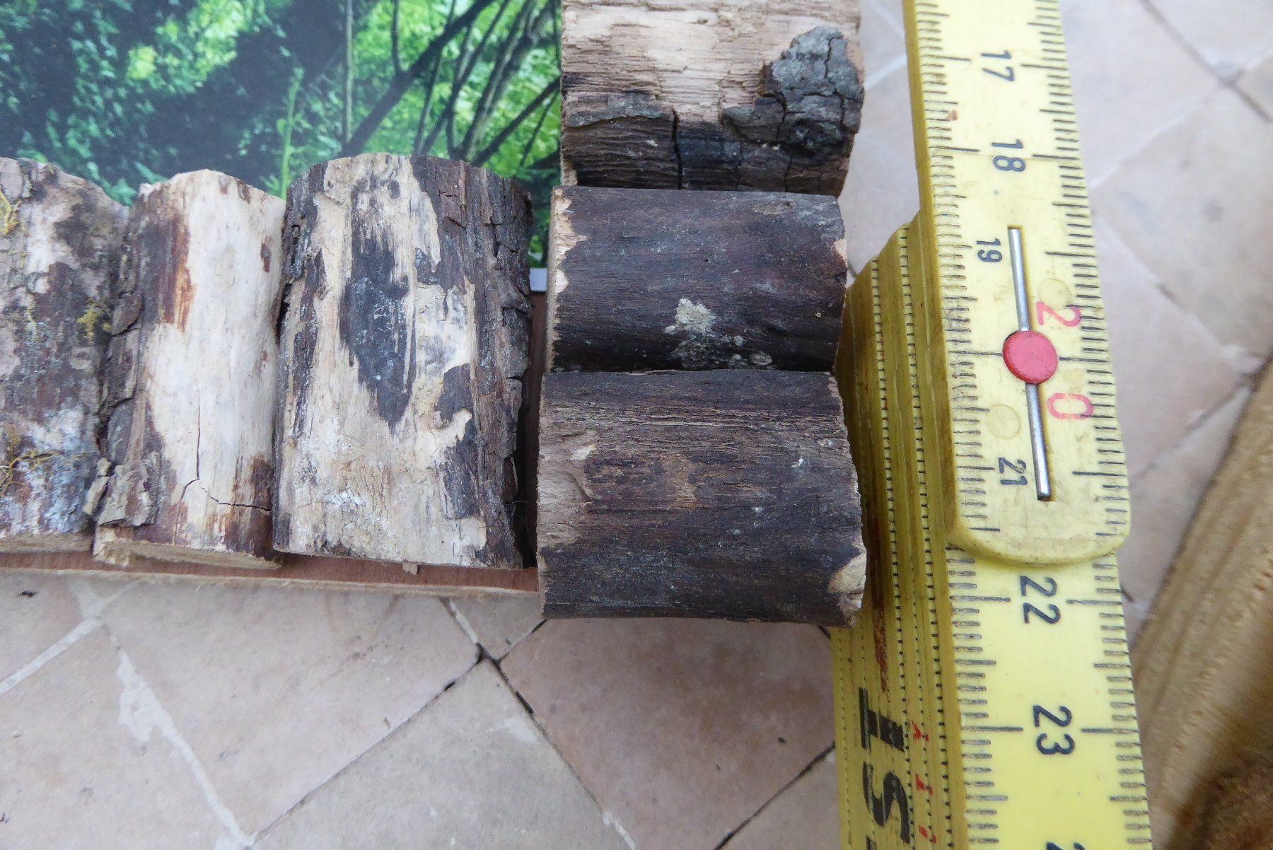 Cornici: 3 spezielle Holz Bilderrahmem – Usato da Sargans venduto da Benziner 6