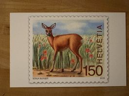 AK mit Tier Briefmarken Motiv von Sonja Burger