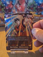 Dragon Ball Son Gohan Super Rare