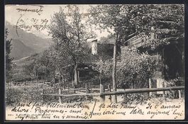 AK Ollon, A Panex, 1906