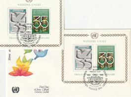 35 Jahre UNO Genf, 1980, Block und FDC