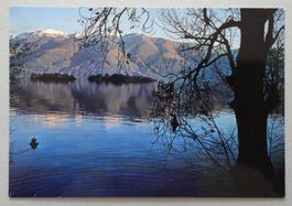 Isole di  Brissago (Lago Maggiore)