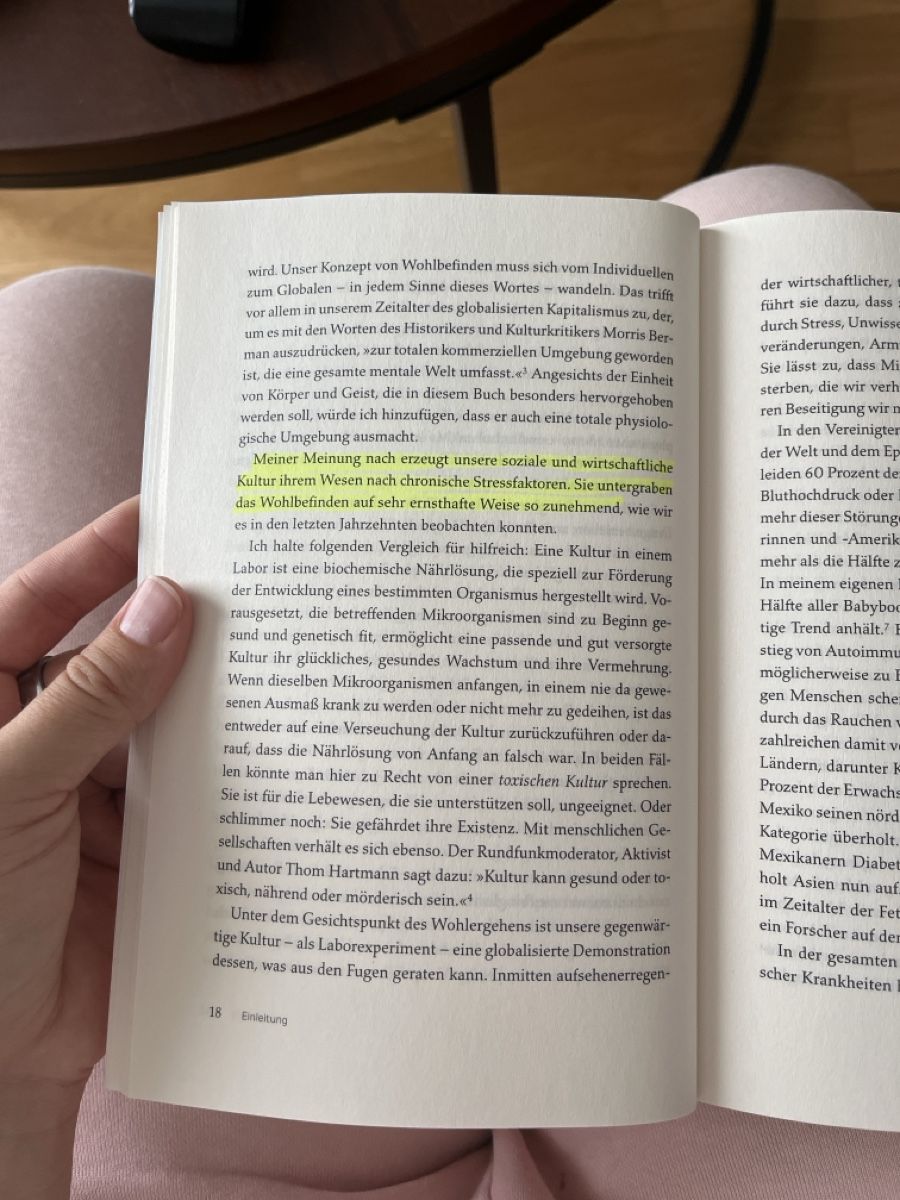 Libri: NEU Buch: Vom Mythos des Normalen, Dr. Gabor Maté – Nuovo (secondo la descrizione) da Zürich venduto da Alindae 2