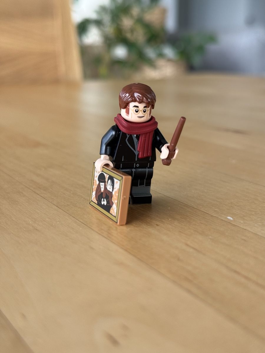 Lego Giocattoli: Lego Harry Potter James Potter – Usato da Neuhausen am Rheinfall venduto da Laghi