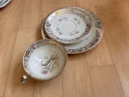 Schlottenhof Bavaria Porzellan vintage Teetasse Trio Set 