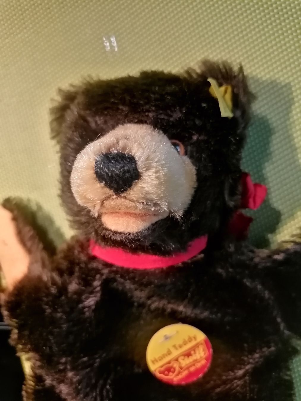 Steiff Giocattoli: Steiff Handpuppe Teddy Baby – Usato da Biberist venduto da troedlerheinz 1