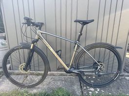 TREK Dual Sport 4, Gr. L