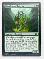 Magic: The Gathering - MTG - Blanchwood Prowler Common