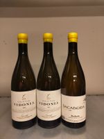 Rare Weissweine: Vidonia (2018) & Sacabeira (2017) Spanie...