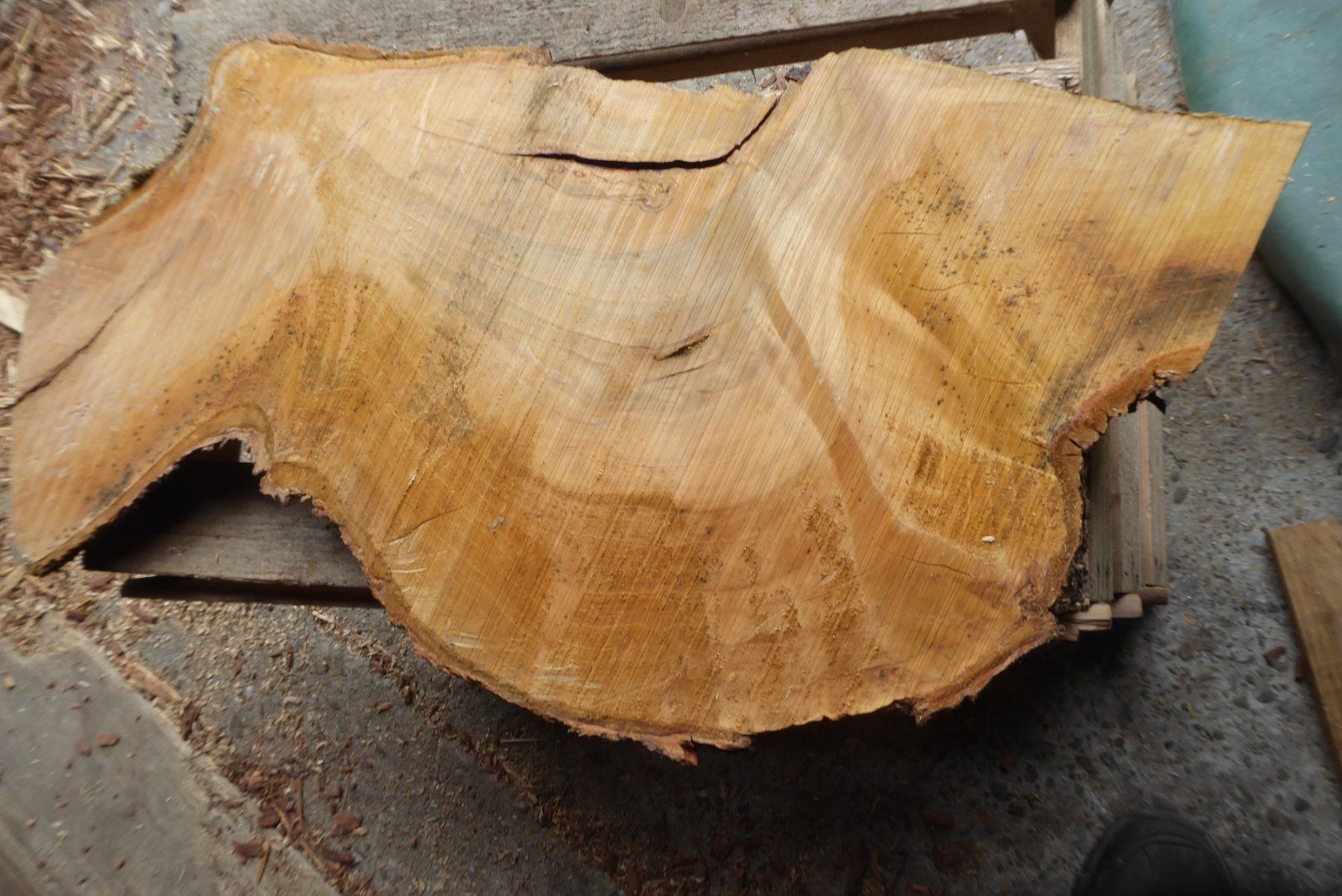 Holzartikel: Kirschbaumbrett – Neu (gemäss Beschreibung) aus Sumiswald von Hennri1 1