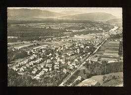 Wynau