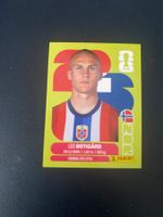 Panini FIFA World Cup Sticker NOR 4