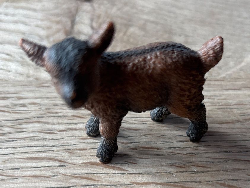 Schleich Statuette: Schleich - Lamm braun stehend ab Fr. 0.3 – Nuovo (secondo la descrizione) da Riken AG venduto da Benggu 2