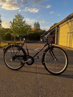 90er Citybike Gr. L (52cm), defekt (70.-) / saniert (220.-)