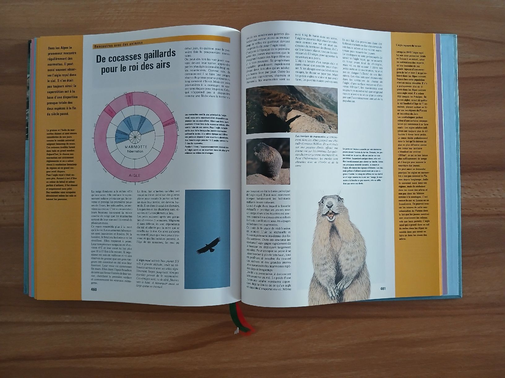 Livres: Guide Suisse vacances et loisirs – D'occasion à Le Sentier par arc_2thy 9