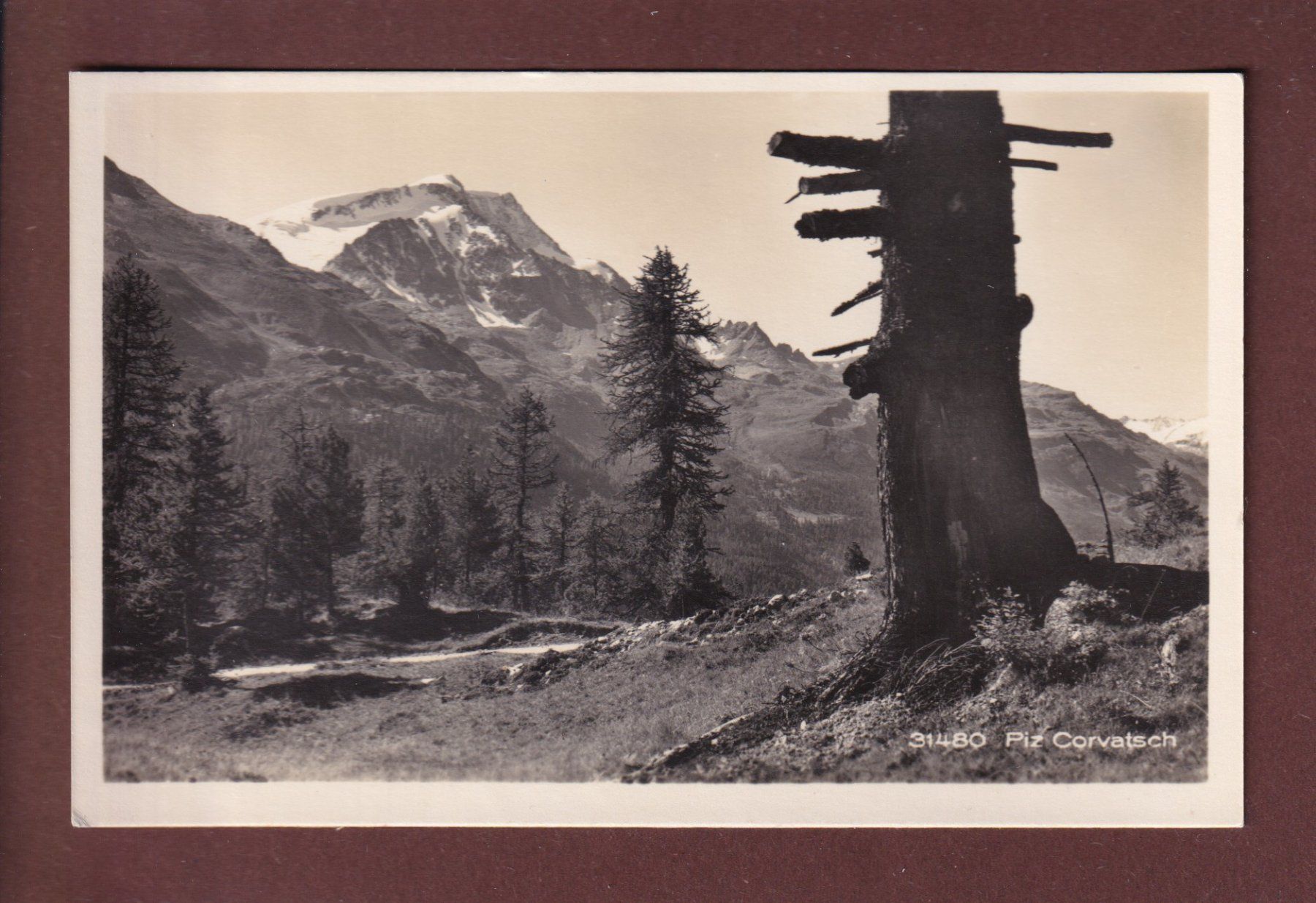 Cartoline postali: PIZ CORVATSCH – Usato da Pully venduto da nicecards