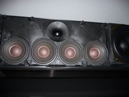 B&O Penta Sickenreparatur