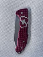 Victorinox Hunter Pro Alox