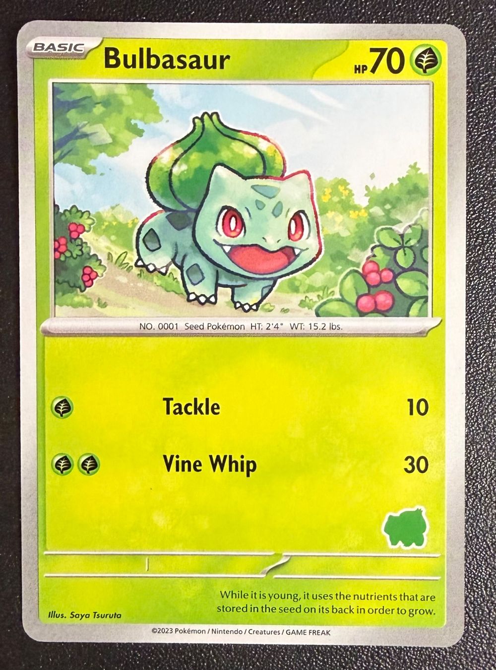 Pokémon Sammelbilder & Trading cards: Bulbasaur My First Battle-Bulbasaur Deck – Neu (gemäss Beschreibung) aus Niedergösgen von SwissPokeCards