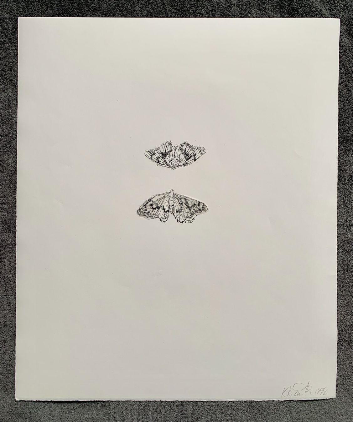Grafiken & Lithographien: Kiki Smith – Lithographie Moth – Gebraucht aus Regensdorf von JoergR 1