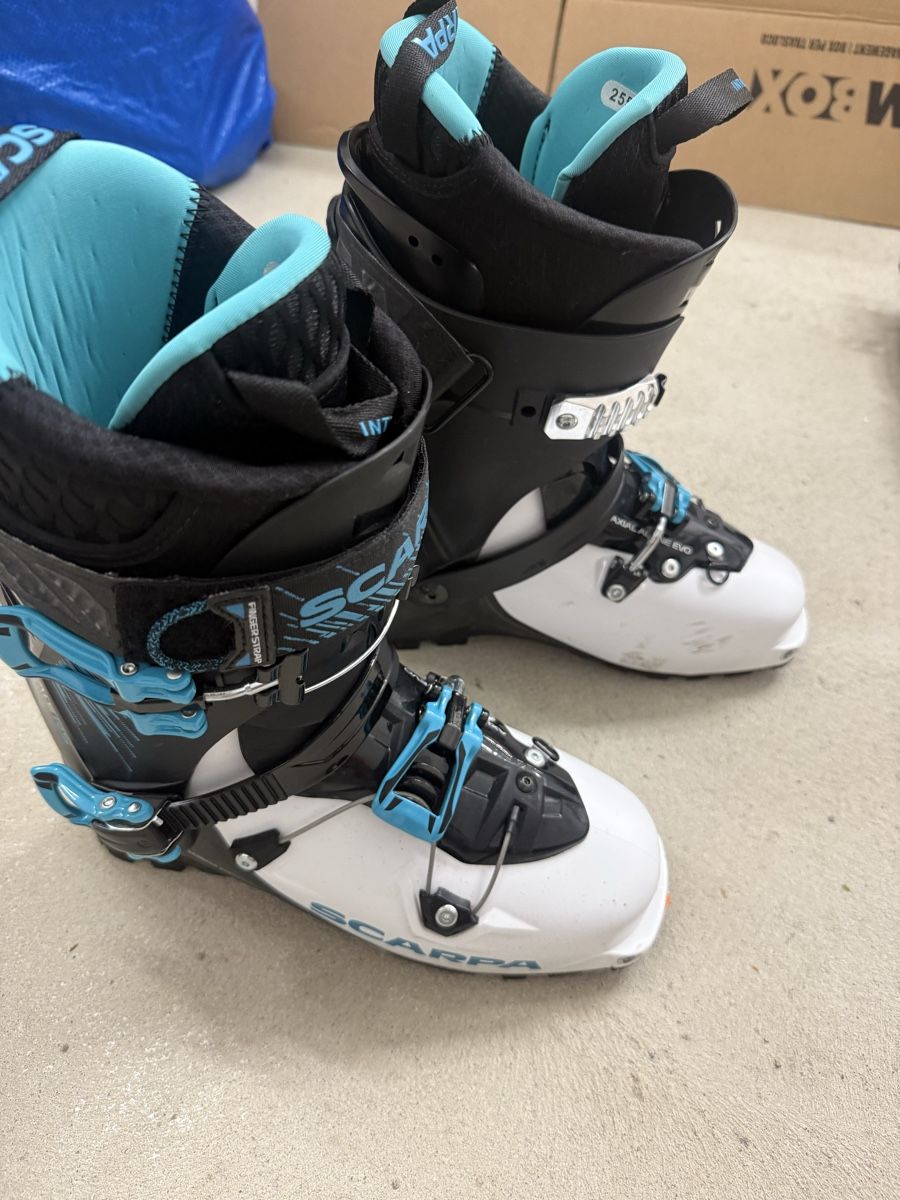 Scarpa Scarpe da uomo: Scarpa maestrale rs 25.5 – Nuovo (secondo la descrizione) da Zürich venduto da tranft